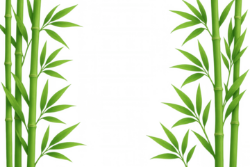 Green bamboo stalks and leaves creating a natural frame on a transparent background, ideal for adding an organic touch to designs