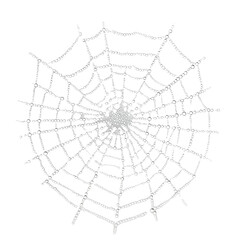 Obraz premium Stock photo of Spider web dewdrops white isolated background. Clean background and simple style with natural light and clear detail for web and print. Simple photo for stock use with clear focus and s