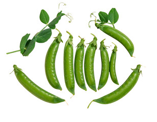 Closed Fresh Pea Pods with Leaves