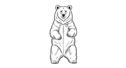 Obraz premium Black and white drawing of a bear standing upright pose