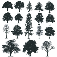 Black set of tree silhouettes vector illustration