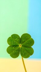 Close-up of a vibrant four-leaf clover with water droplets, against a pastel color gradient background