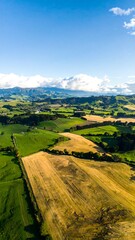 High-angle view of rural landscape with fields of varying colors and textures