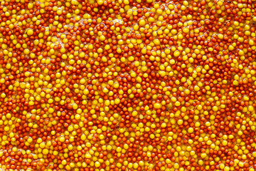 Wholegrain mustard seeds in brine