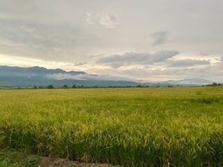 Fototapeta premium Esperanza