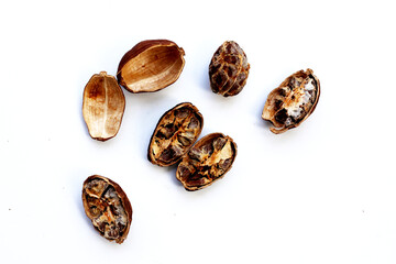 Dried Black Cardamom or Greater Cardamom
