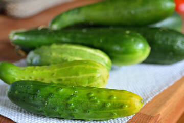 Fresh cucumbers on kitchen table – organic vegetables harvest