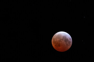 Blood moon 1 © William