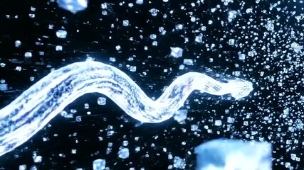 Abstract Data Stream Visualization Flow. - Powered by Adobe