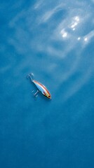 Top-Down View of a Lure Floating in the Water
