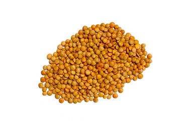 Lentils are small brown legumes rich in protein and fiber