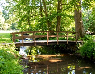 Wooden bridge over a stream in a park