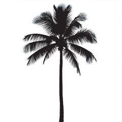 An isolated silhouette of a tropical coconut tree 