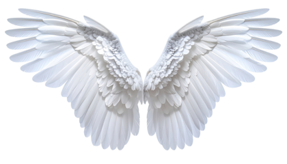 Pair of white angel wings, detailed