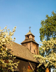 Wooden church steeple with blossoming trees