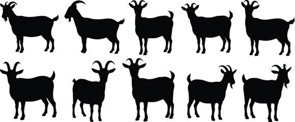 Silhouette goat collection vector, farm animal illustrations, domestic goat shapes, livestock design icons, black goat clipart for agriculture visuals.