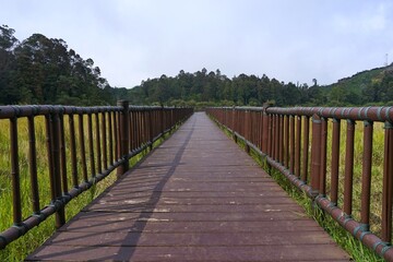 Fototapeta premium Wooden bridge pathway in Dieng nature landscape for travel and tourism photography 