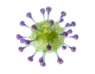 Microscopic green virus particle with purple spike proteins, detailed spherical pathogen model, high-clarity 3D render on isolated background