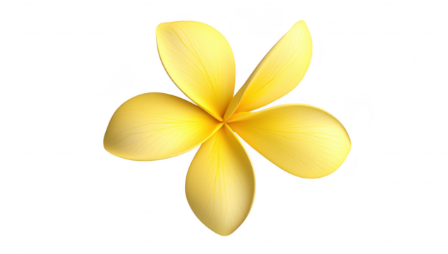 A yellow plumeria flower with smooth petals. centrally positioned against a clean white background. evoking a sense of tranquility and nature. ideal for wellness or beauty themes