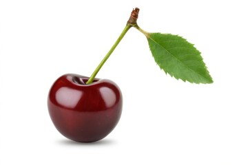 CloseUp of Fresh Red Cherry with Green Leaf on White Background: Plump, Smooth, and Shiny Fruit with Long, Slender Leaf.