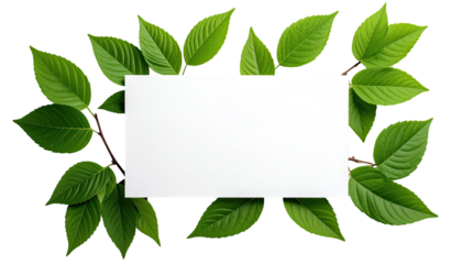 Blank white rectangle framed by vibrant green leaves and branches