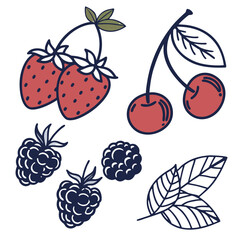 Hand drawn vector illustration of berries