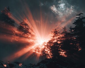 Obraz premium Sunset Bursting Through Trees