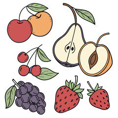 Obraz premium Fruit illustration vector drawing art