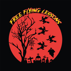 Free flying lessons