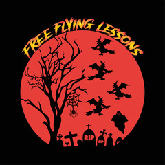 Free flying lessons