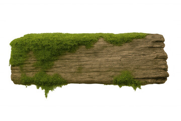 Realistic 3d rendering of a mossy wooden plank isolated on a transparent background, perfect for nature-themed compositions