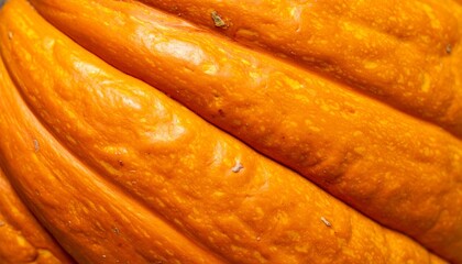 Close Up of a Vibrant Orange Pumpkin Showing its Unique Ridged Skin and Texture