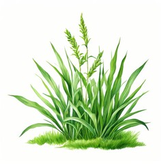 an AI Image Generator, Detailed Artistic Illustration of Wheat Plants