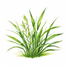 Fototapeta premium an AI Image Generator, Detailed Artistic Illustration of Wheat Plants