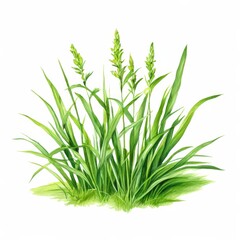 Naklejka premium an AI Image Generator, Detailed Artistic Illustration of Wheat Plants