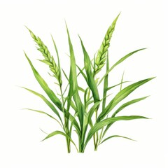 Fototapeta premium an AI Image Generator, Detailed Artistic Illustration of Wheat Plants