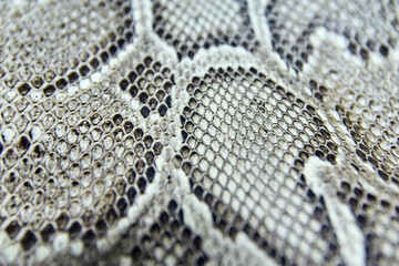 Close-up of textured snake skin pattern with scales in black and white abstraction.