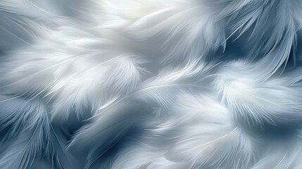 Close-up group white feathers are arranged way Beautiful fluffy feather
