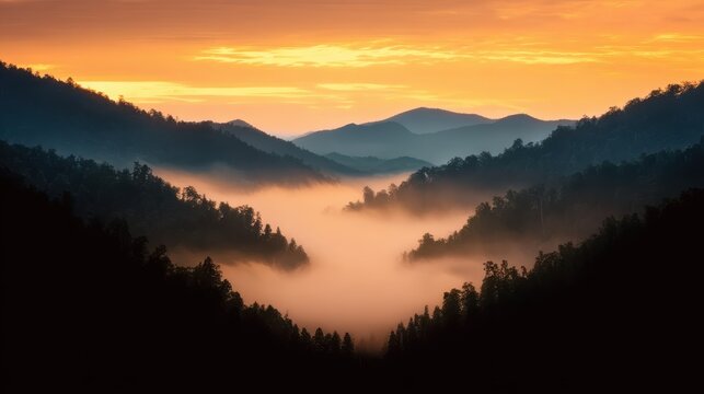 Misty coastline at dawn with panoramic view, perfect for scenic concepts, outdoor themes, and breathtaking visuals