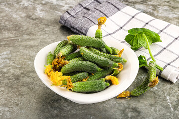 Raw gherkin cucumbers in the bowl