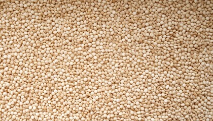 Beige and White Quinoa Grain Texture Background