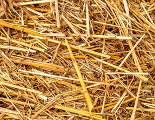 Close Up Golden Straw Texture Background Displaying Natural and Rustic Aesthetic