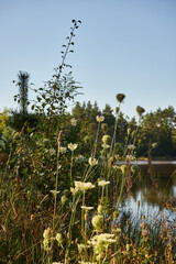 jezioro, zalew, woda, zbiornik wodny, kąpielisko © Marcin Łazarczyk