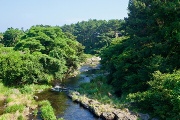 Obraz premium Shaded Stream in City Park