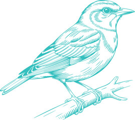 Vintage Teal Little Bird on a Branch Illustration Graphic. A Rustic Nature-themed Design for a Cottagecore Vibe