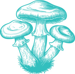 Vintage Teal Mushrooms Illustration Graphic. A Rustic Nature-themed Design for Cottagecore
