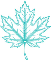 Vintage Teal Maple Leaf Illustration Graphic. A Rustic Nature-themed Design for Cottagecore