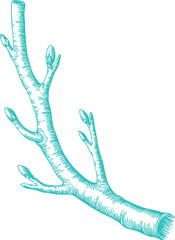 Vintage Teal Tree Branch with Buds Illustration Graphic. A Rustic Nature-themed Design for Cottagecore