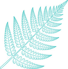 Vintage Teal Fern Leaf Illustration Graphic. A Rustic Nature-themed Design for Cottagecore