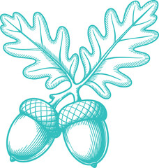 Vintage Teal Oak Leaves and Acorns Illustration Graphic. A Rustic Nature-themed Design for Cottagecore
